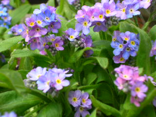 c0029190_1921880.jpg