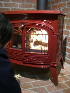 中学2年生の環境学習。_a0045293_1144767.jpg