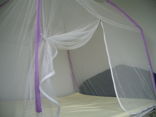 d0090300_20565394.jpg