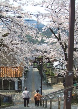 駅から門前町すぃーつ_b0067302_22274481.jpg