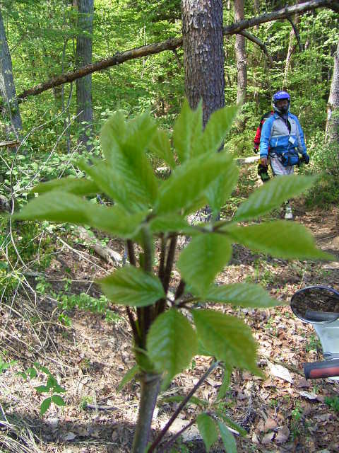 b0050305_1911116.jpg