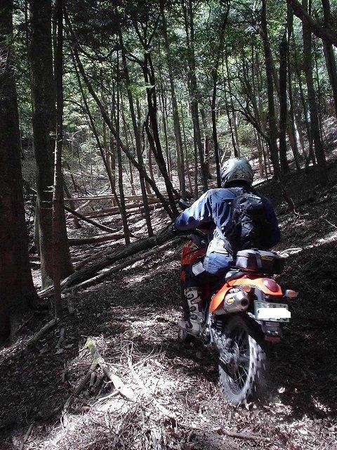 b0050305_19114779.jpg