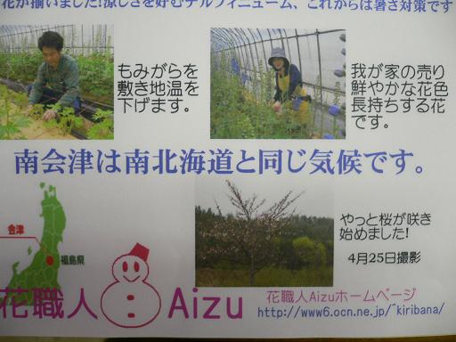 お知らせパンフ_d0099708_21502178.jpg