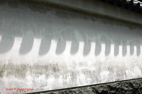 a0094711_23553123.gif