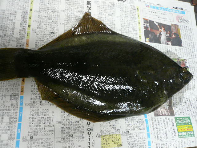 e0026017_06676.jpg