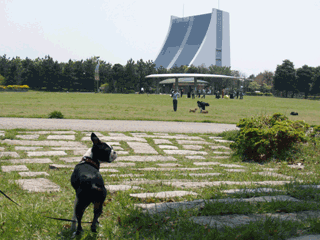 e0080117_2344030.gif