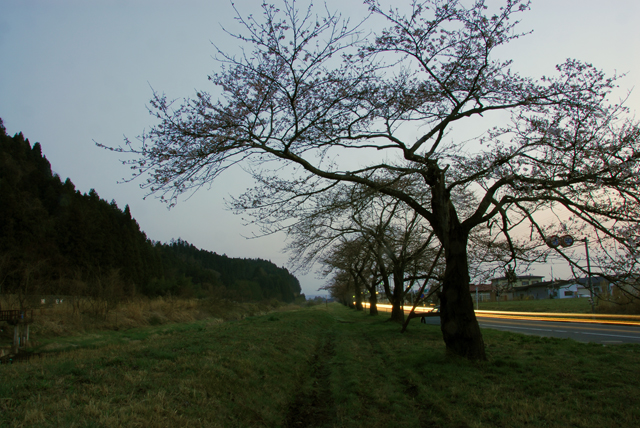 d0019422_19571316.jpg
