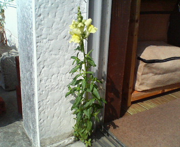 f0036223_15282348.jpg