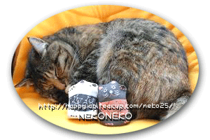 d0020828_17344623.gif