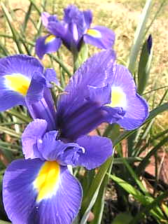 c0069552_848162.jpg