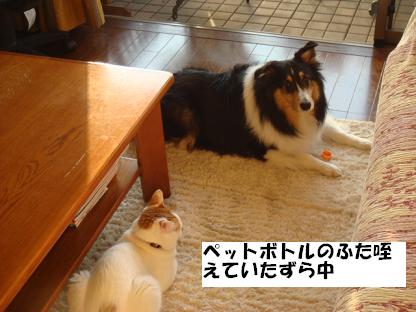 f0046854_20244981.jpg