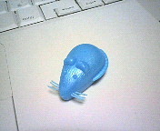 ネズミの歯と_b0012955_5565230.jpg