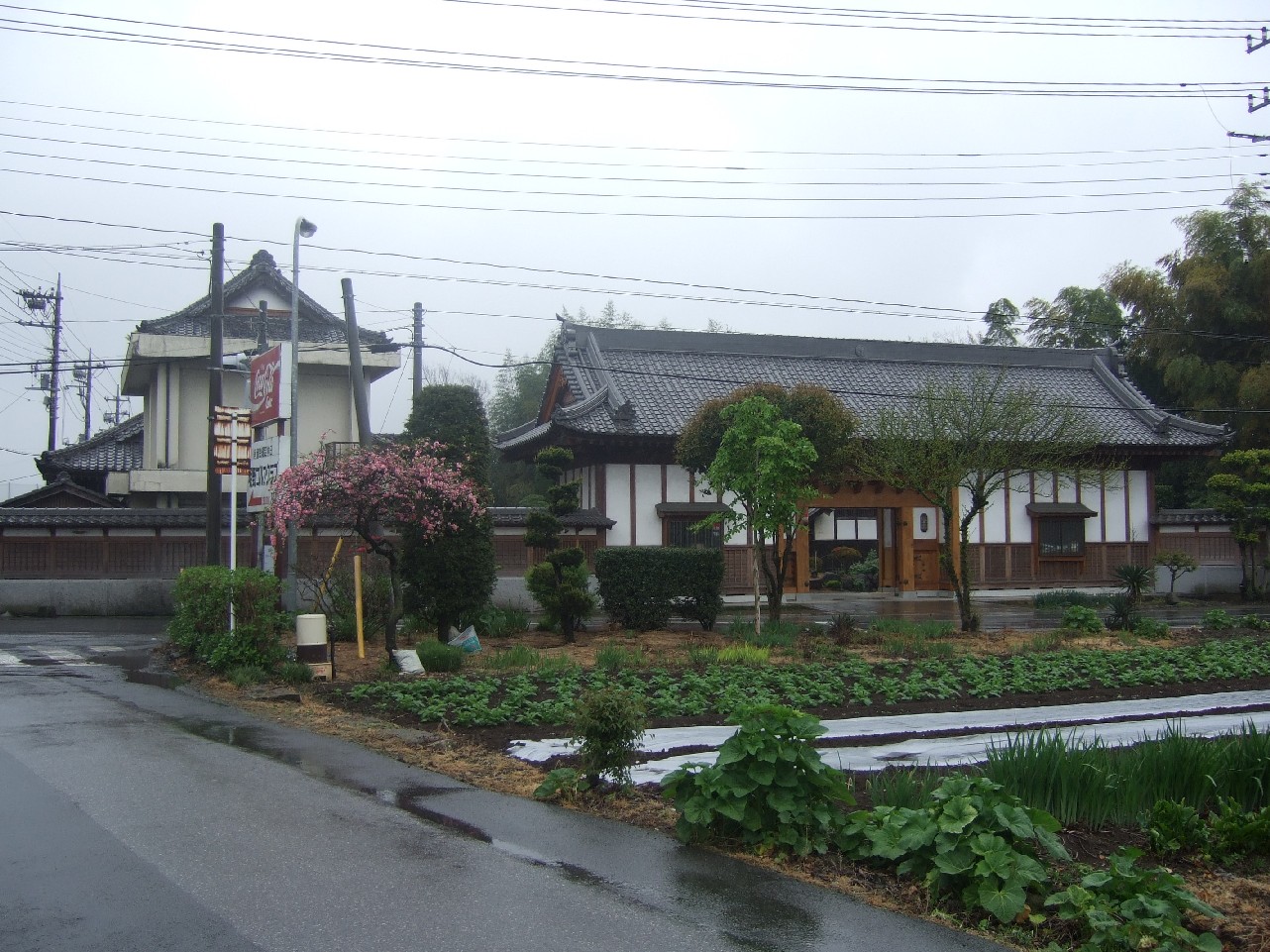 e0009760_159090.jpg