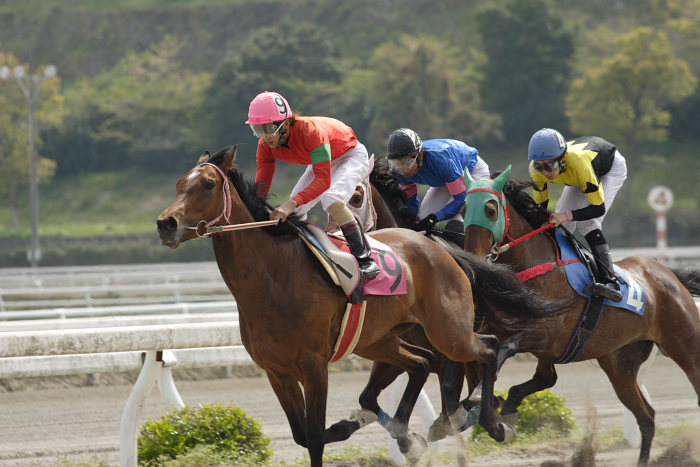 2007年4月15日（日） 高知競馬 6R_a0077663_18421613.jpg