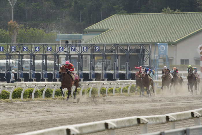 2007年4月15日（日） 高知競馬 6R_a0077663_18422789.jpg