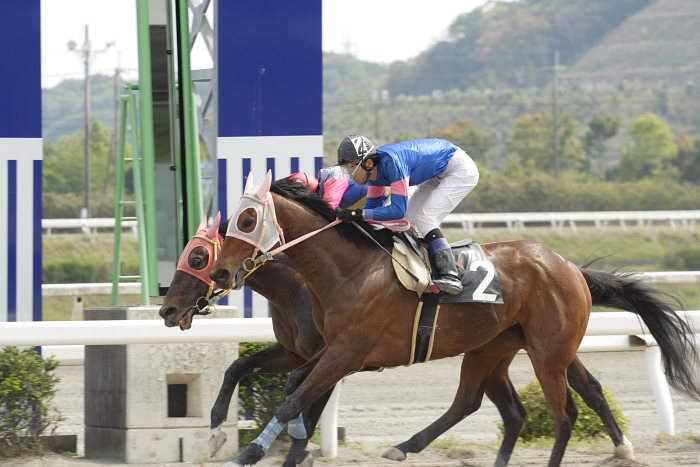 2007年4月15日(日) 高知競馬 6R_a0077663_18425734.jpg