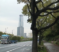 d0083265_6194539.jpg