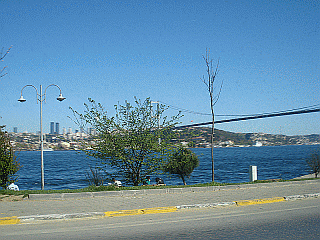 a0096669_012098.gif