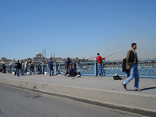 a0096669_0303427.gif
