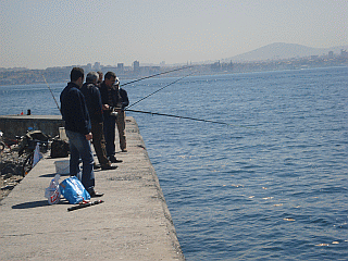 a0096669_054979.gif