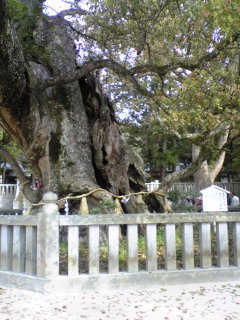 e0046477_15101510.jpg
