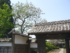 d0114583_15383.jpg