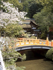 c0104296_17243290.jpg