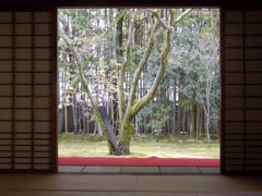 c0104296_1732575.jpg