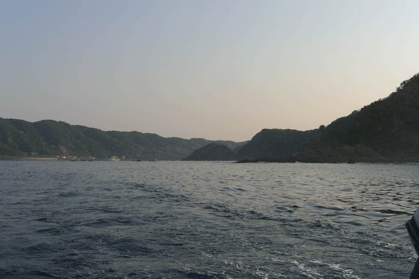 e0063003_11543670.gif