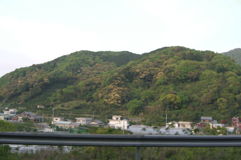 e0063003_11552040.gif