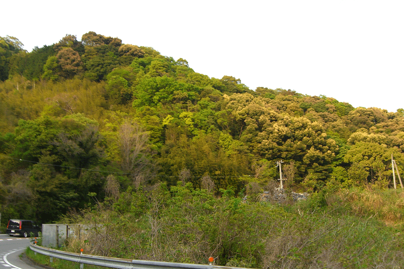 e0063003_11553792.gif