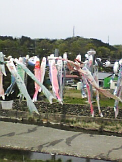 f0069907_1827682.jpg