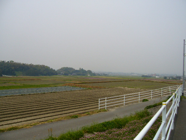 f0096008_13444046.jpg