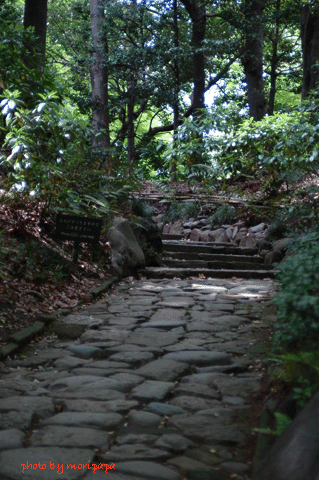 a0094711_005664.gif