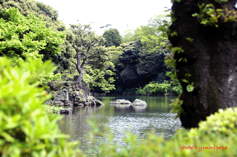 a0094711_024713.gif