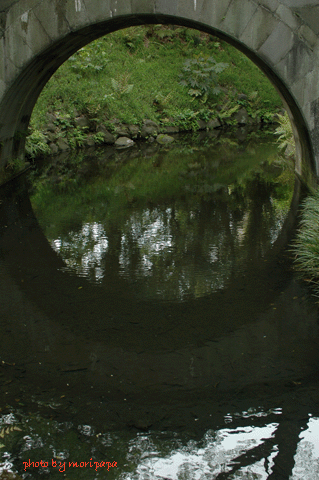 a0094711_0321175.gif