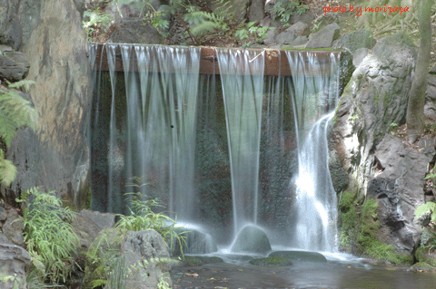 a0094711_033471.gif