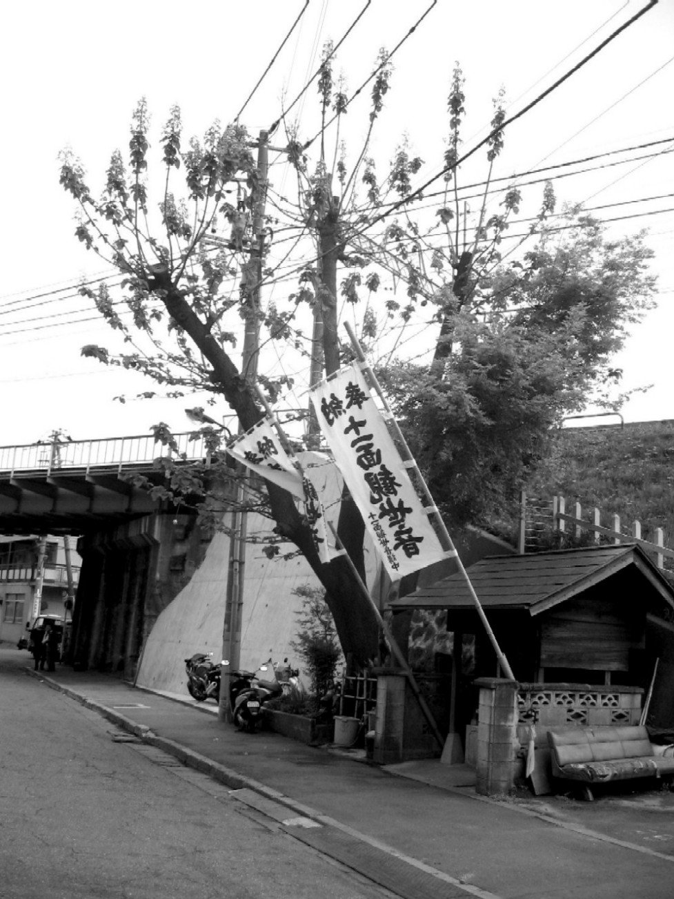 d0044222_03211.jpg