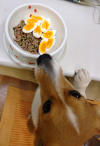 モモごはん 4月26日_d0102523_2356671.jpg