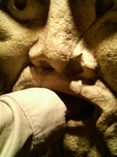 f0045433_02521.jpg