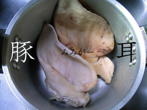 モツもいいけど豚耳もね 山 椿