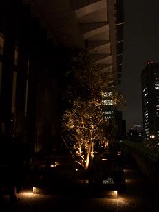 新丸ビルオープンです_d0069649_23153080.jpg