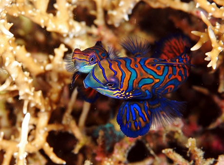 Ｌｅｍｂｅｈ　０７　総集編_e0090153_1516975.jpg