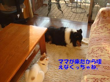 f0046854_20103464.jpg
