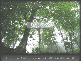 f0033856_16112647.gif