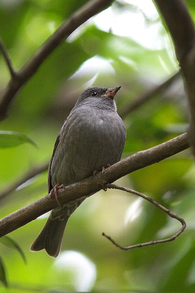 a0035279_13479.jpg