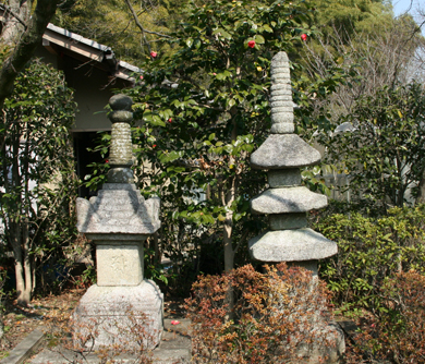 a0045381_22482262.jpg