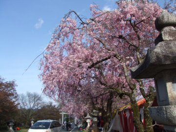 比叡山を横断し坂本へ_f0120102_634931.jpg