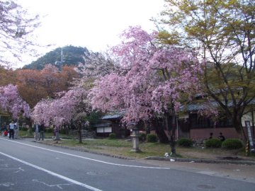 f0120102_64736.jpg