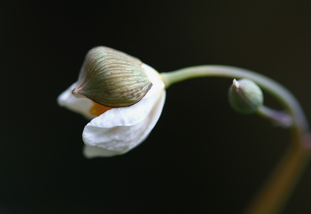 e0039703_0223845.jpg